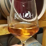 Gospodarstwo agroturystyczne Wine House Kaloh *