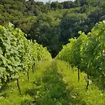 Wine House Kaloh Gospodarstwo agroturystyczne