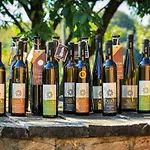 Wine House Kaloh Gospodarstwo agroturystyczne