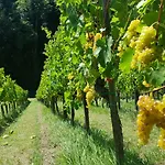 Wine House Kaloh Gospodarstwo agroturystyczne Maribor