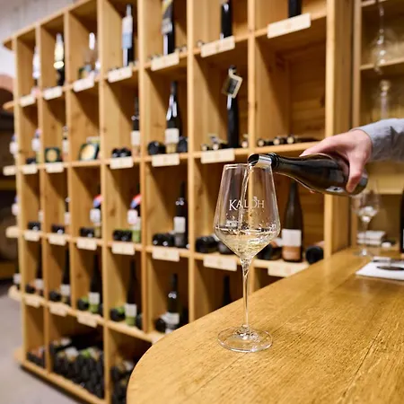 Alojamento de Turismo Rural Wine House Kaloh
