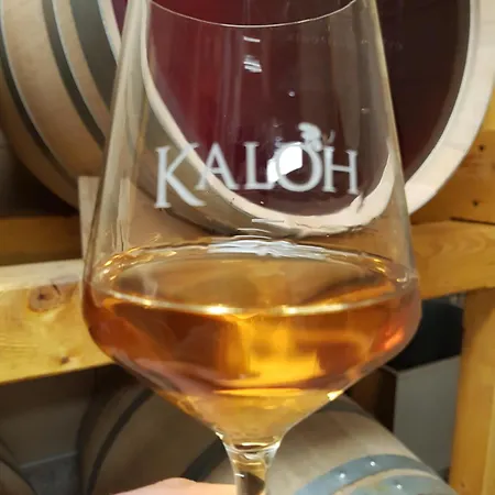 Alojamento de Turismo Rural Wine House Kaloh *