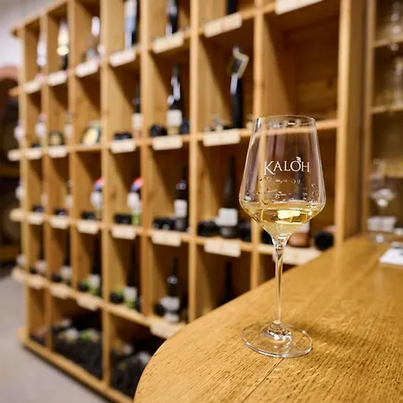 Alojamento de Turismo Rural Wine House Kaloh Maribor