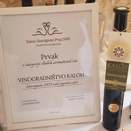 Wine House Kaloh Марибор