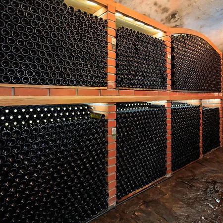 Wine House Kaloh *