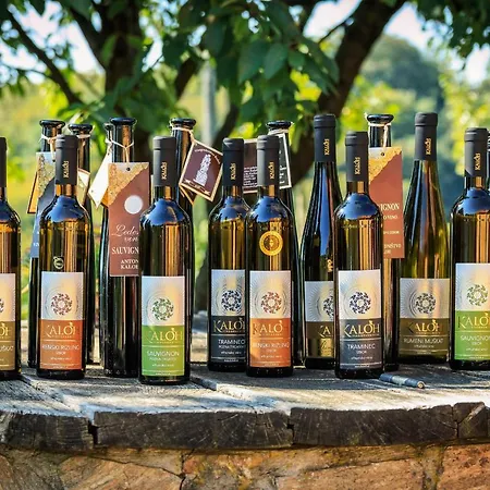 Wine House Kaloh Фермерский дом