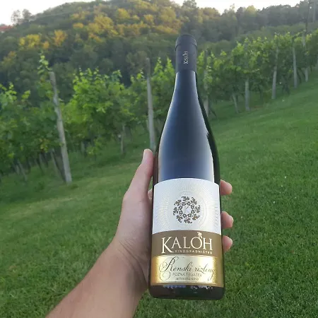Wine House Kaloh *