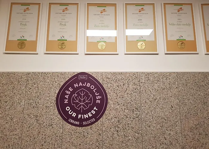 Wine House Kaloh * Maribor