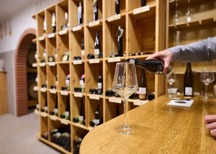 Farm stay Wine House Kaloh