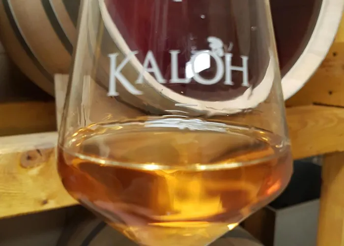 Farm stay Wine House Kaloh *