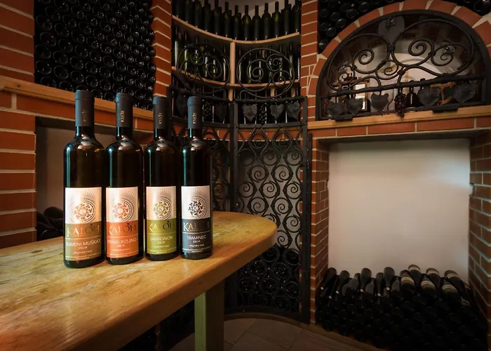 Farm stay Wine House Kaloh