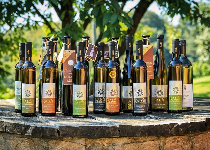 Wine House Kaloh Farm stay