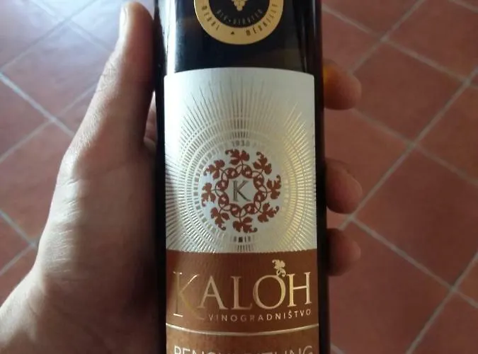 Farm stay Wine House Kaloh